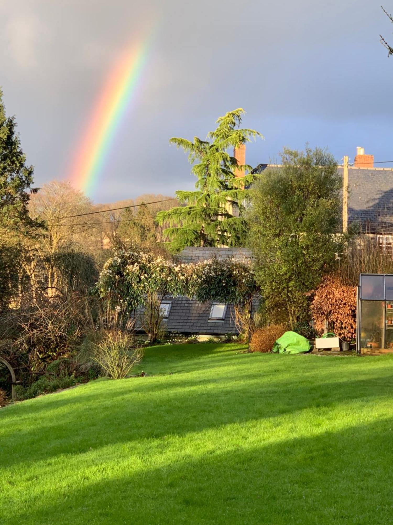 Maristow Cottages, Overlook Tamar Valley Dartmoor พลีมัธ ภายนอก รูปภาพ