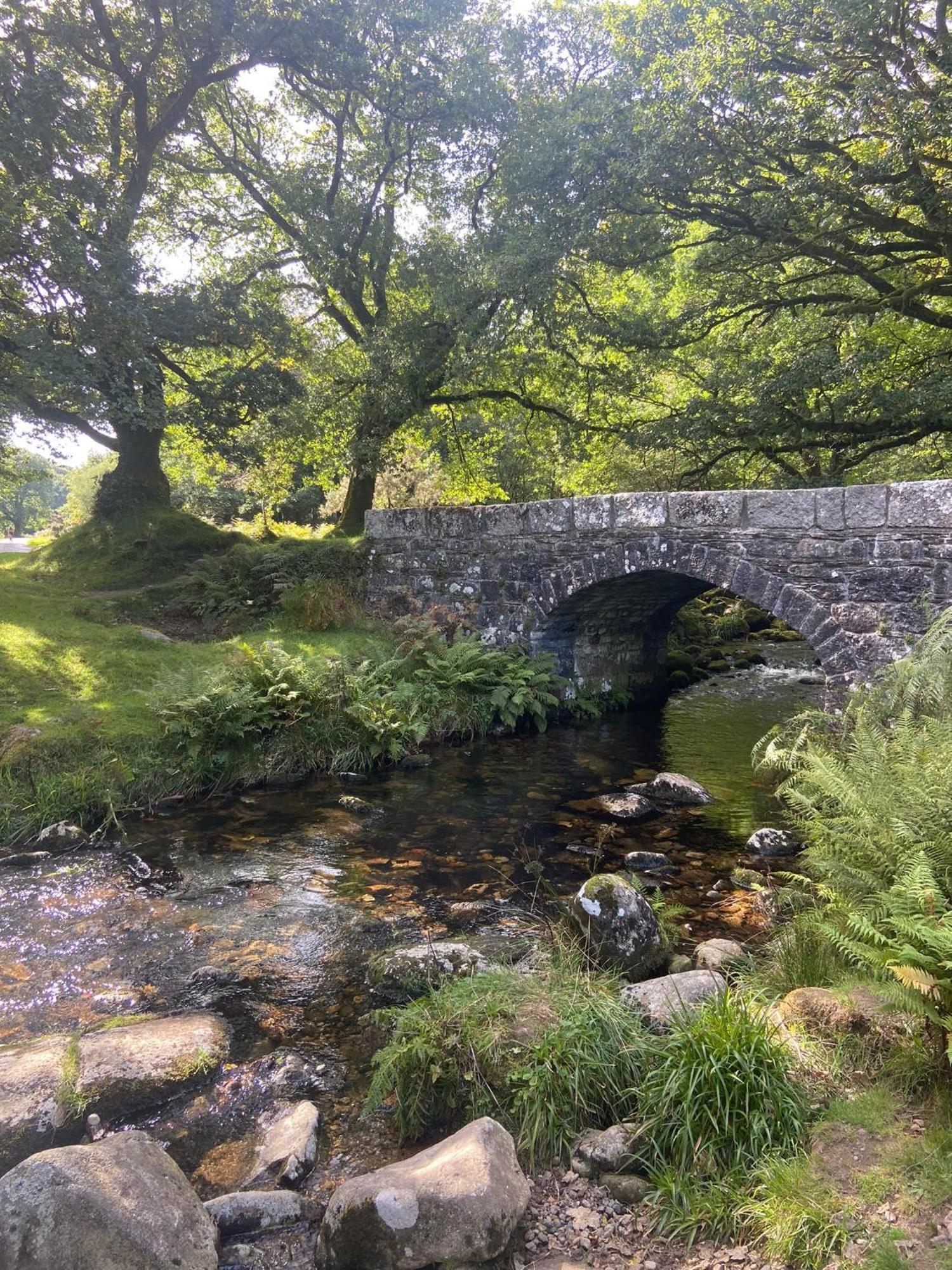 Maristow Cottages, Overlook Tamar Valley Dartmoor พลีมัธ ภายนอก รูปภาพ