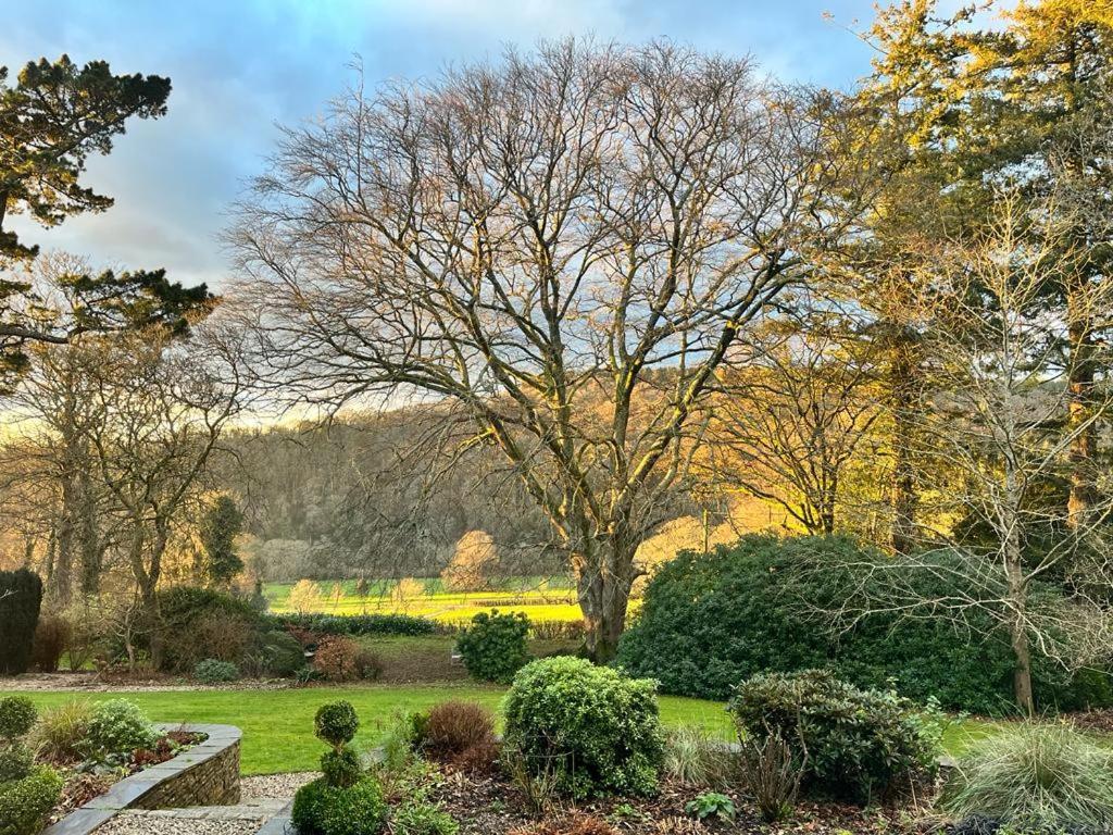 Maristow Cottages, Overlook Tamar Valley Dartmoor พลีมัธ ภายนอก รูปภาพ