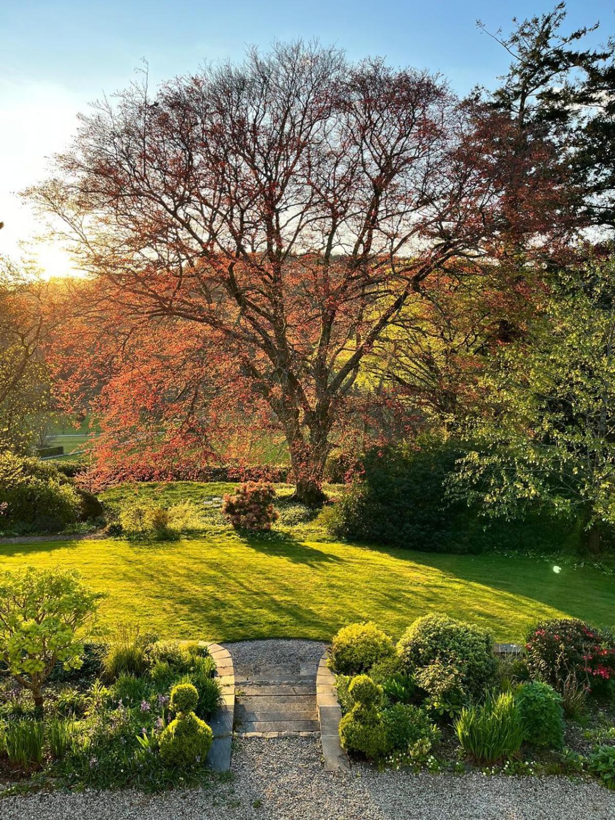 Maristow Cottages, Overlook Tamar Valley Dartmoor พลีมัธ ภายนอก รูปภาพ